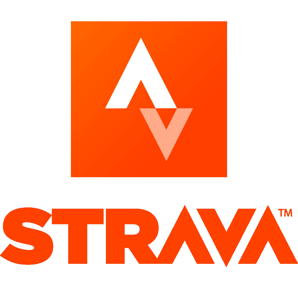 strava link
